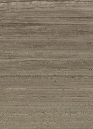 Close-up of textured wooden surface, beige and brown