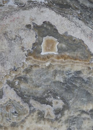 Close-up of textured gray and brown stone surface.