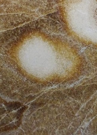 Close-up of textured brown and white stone surface.