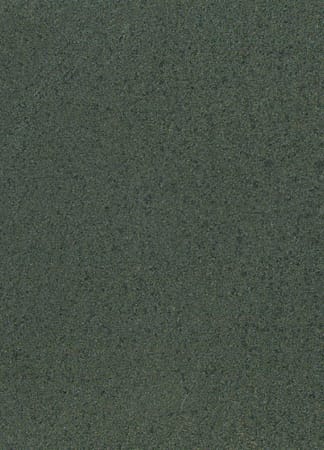 Close-up of dark green textured surface