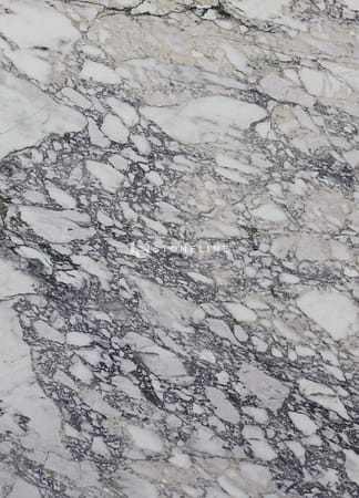 Detailed marble texture with gray veins