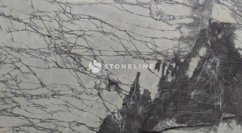 LEYLAK (LILAC) EXCLUSIVE VALUE