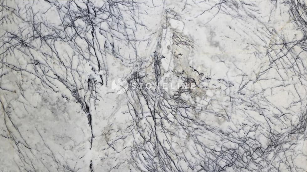 LEYLAK (LILAC) EXCLUSIVE VALUE