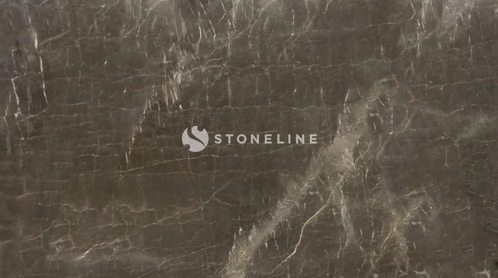 OLIVE MAROON EXCLUSIVE VALUE