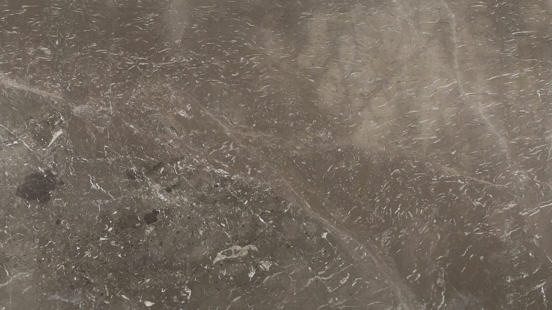 Polished 2 CM