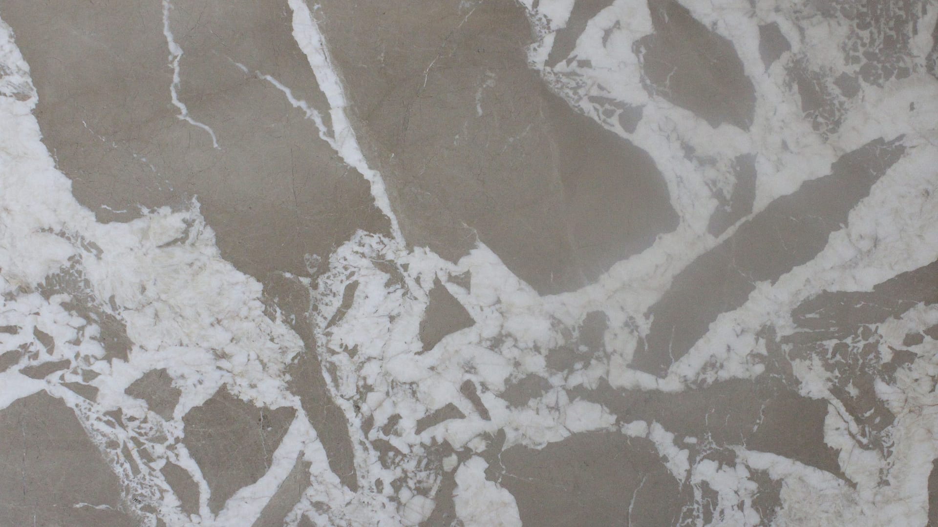 Polished 2 CM