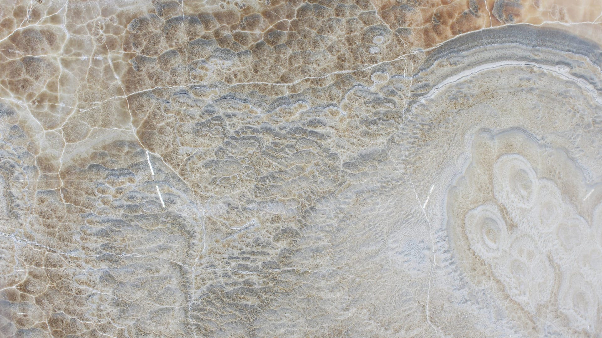 Polished 2 CM