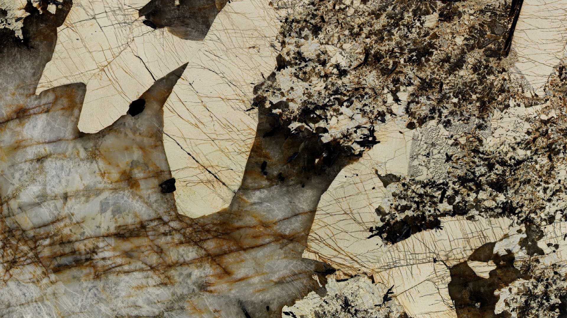 Polished 2 CM