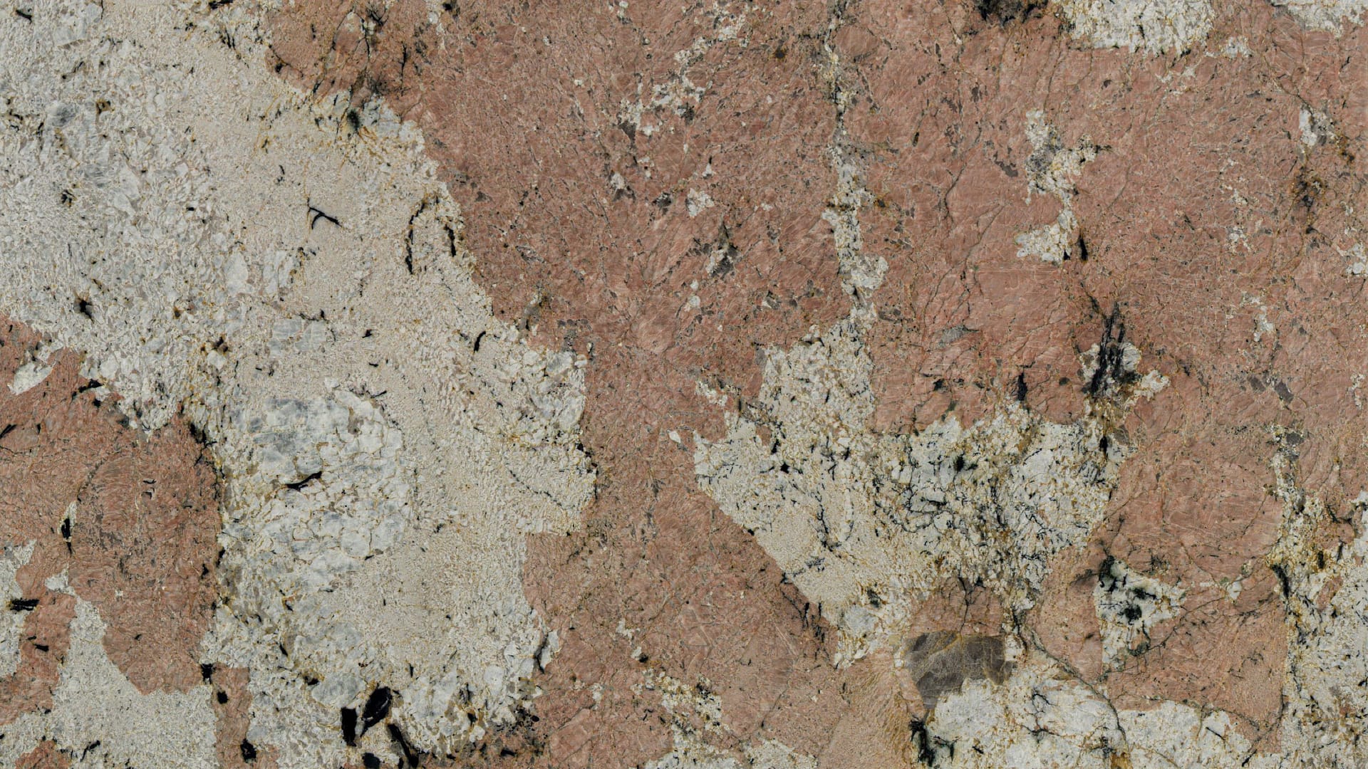 Polished 2 CM