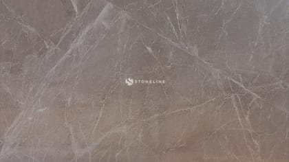 Close-up of brown marble texture with veins.