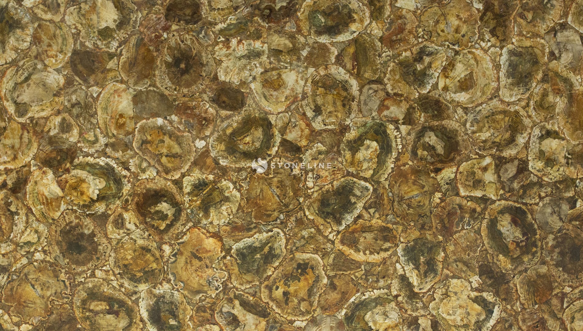 Polished 2 CM
