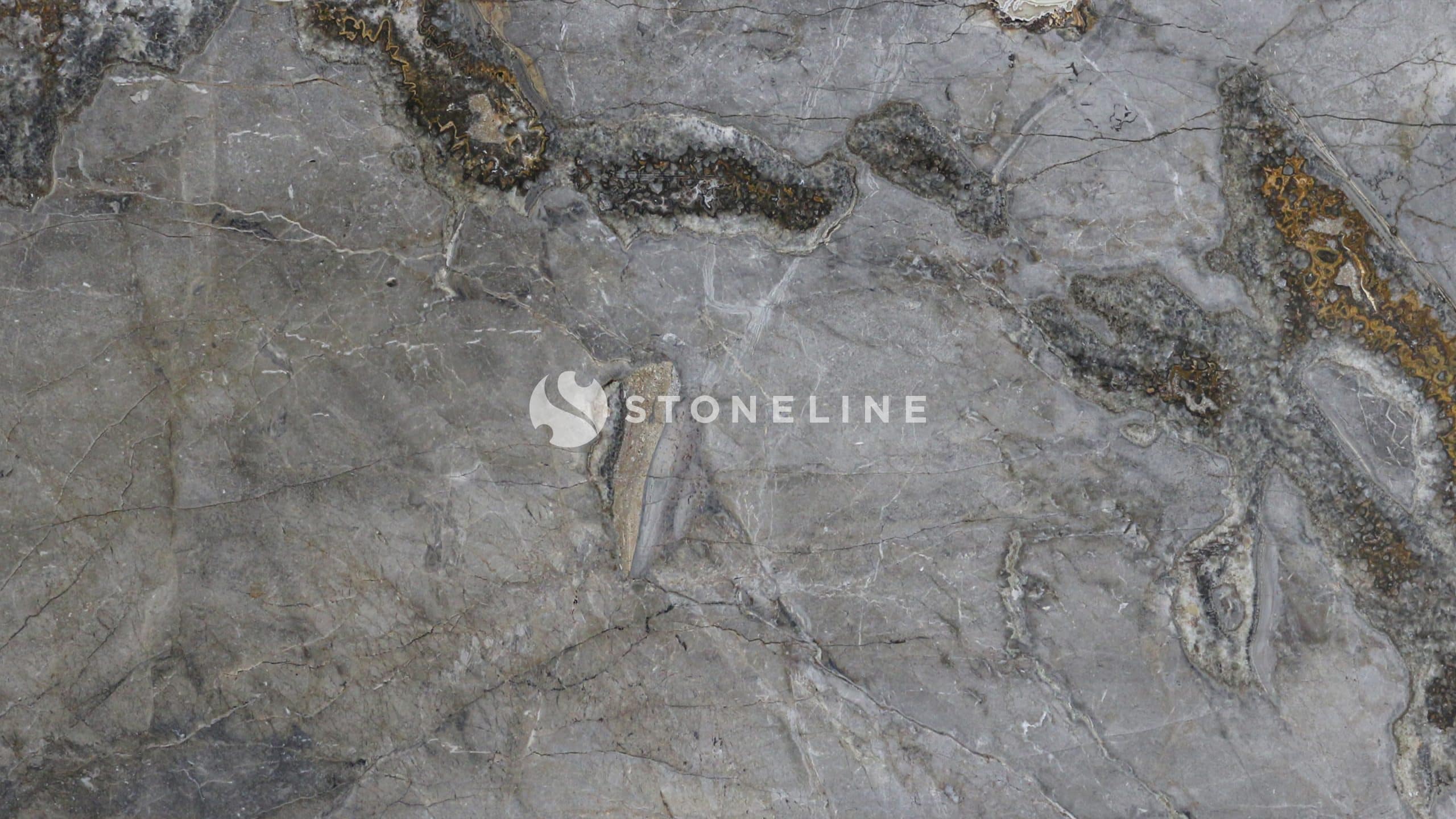 Close-up of textured gray rock surface