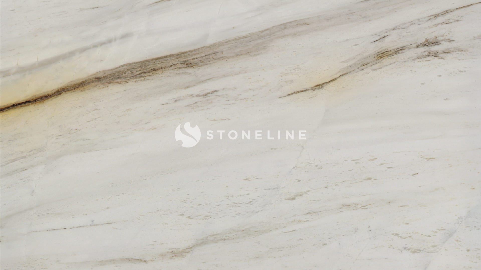 Close-up of white marble with gray veins.