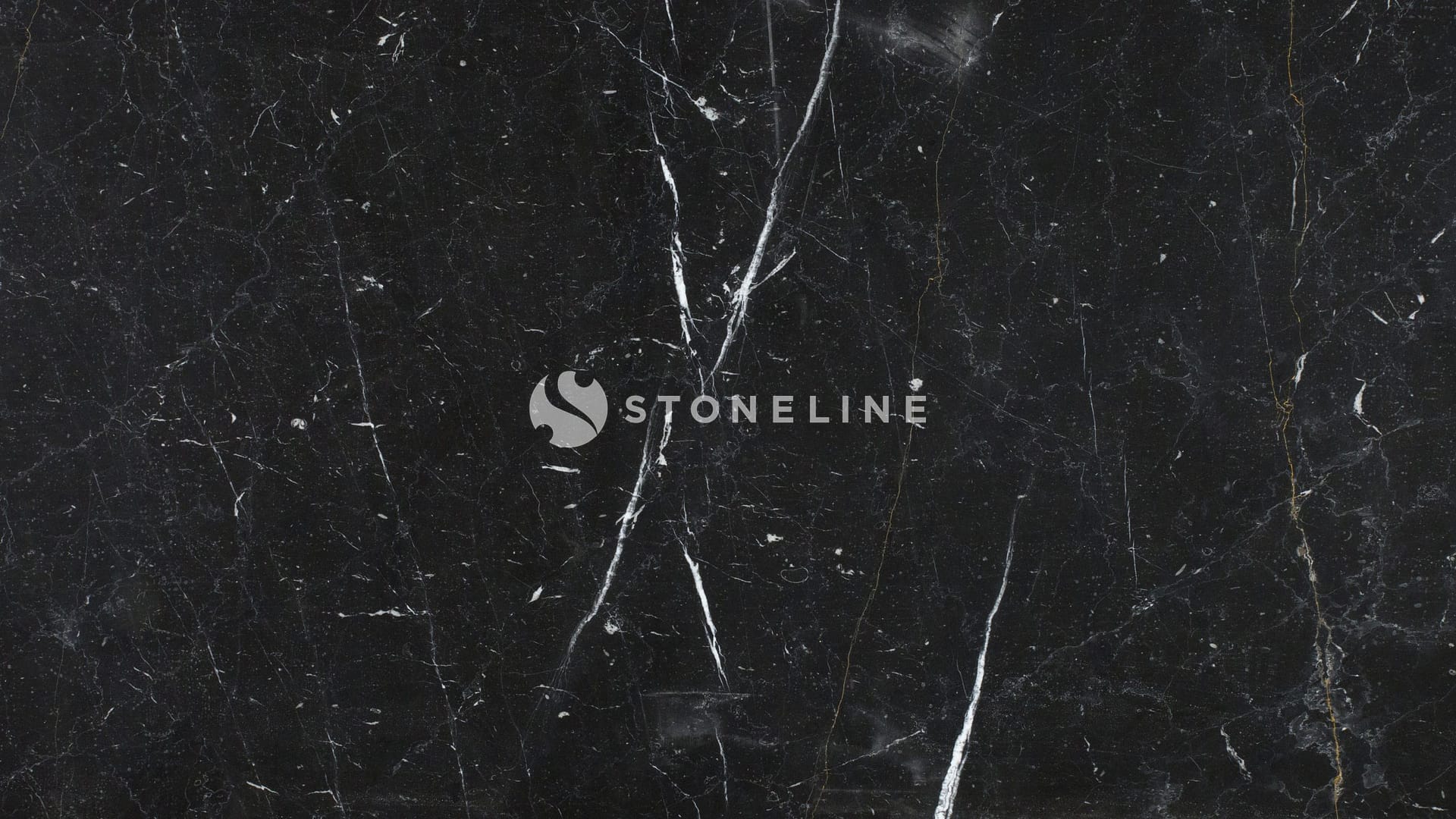 Black marble texture with white veins