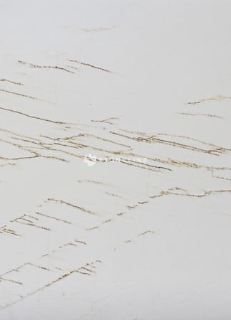 White marble texture with dark veins