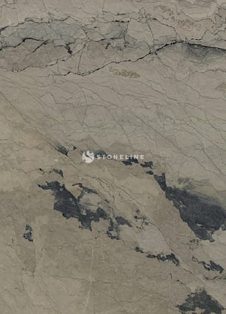 Close-up of gray textured rock surface.