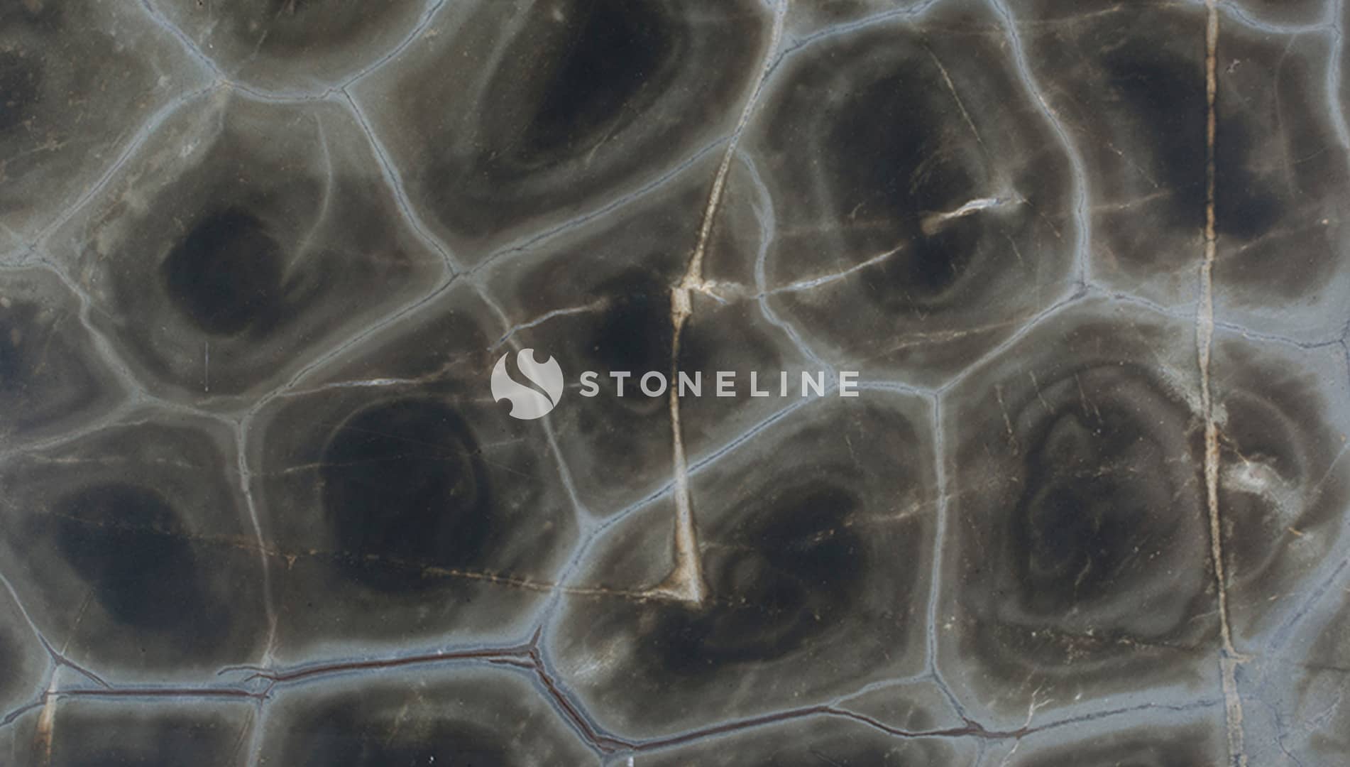 TURTLE QUARTZITE