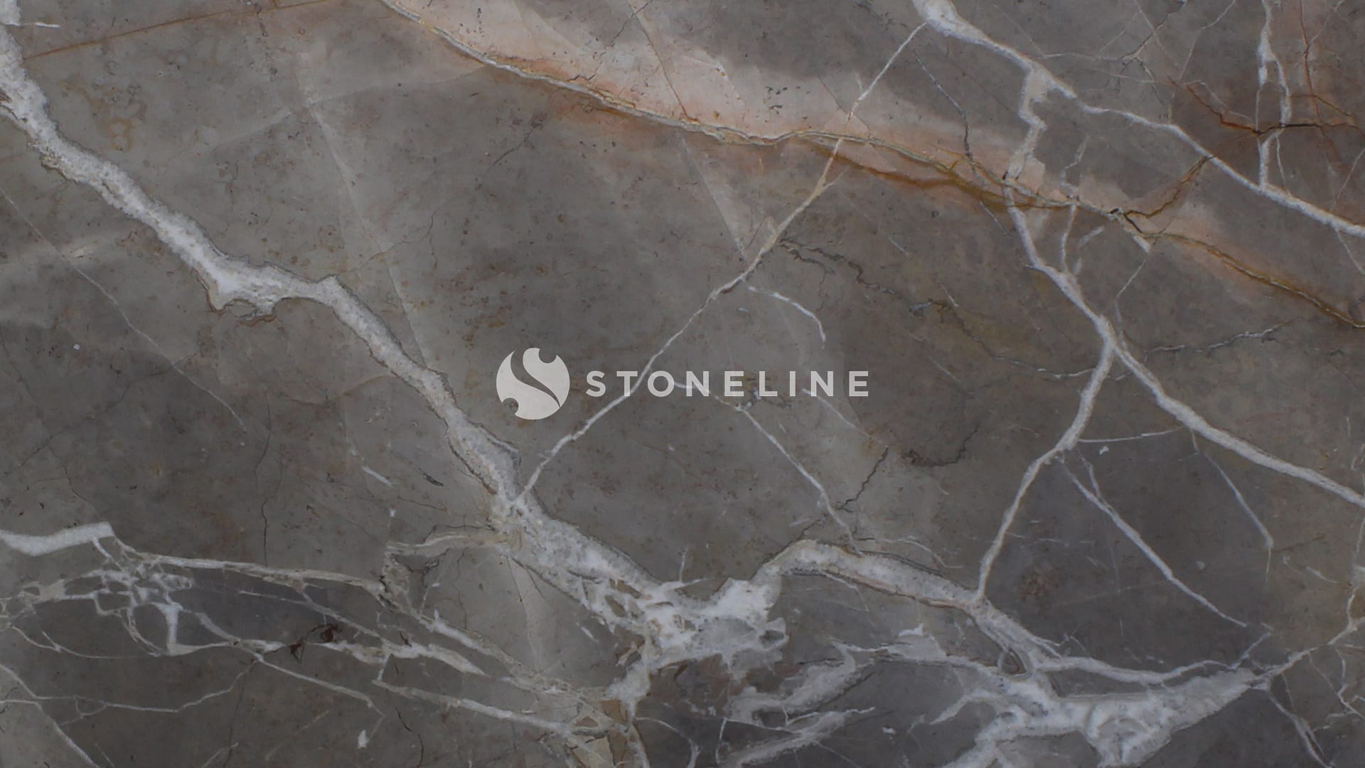 Close-up of polished marble surface with veins
