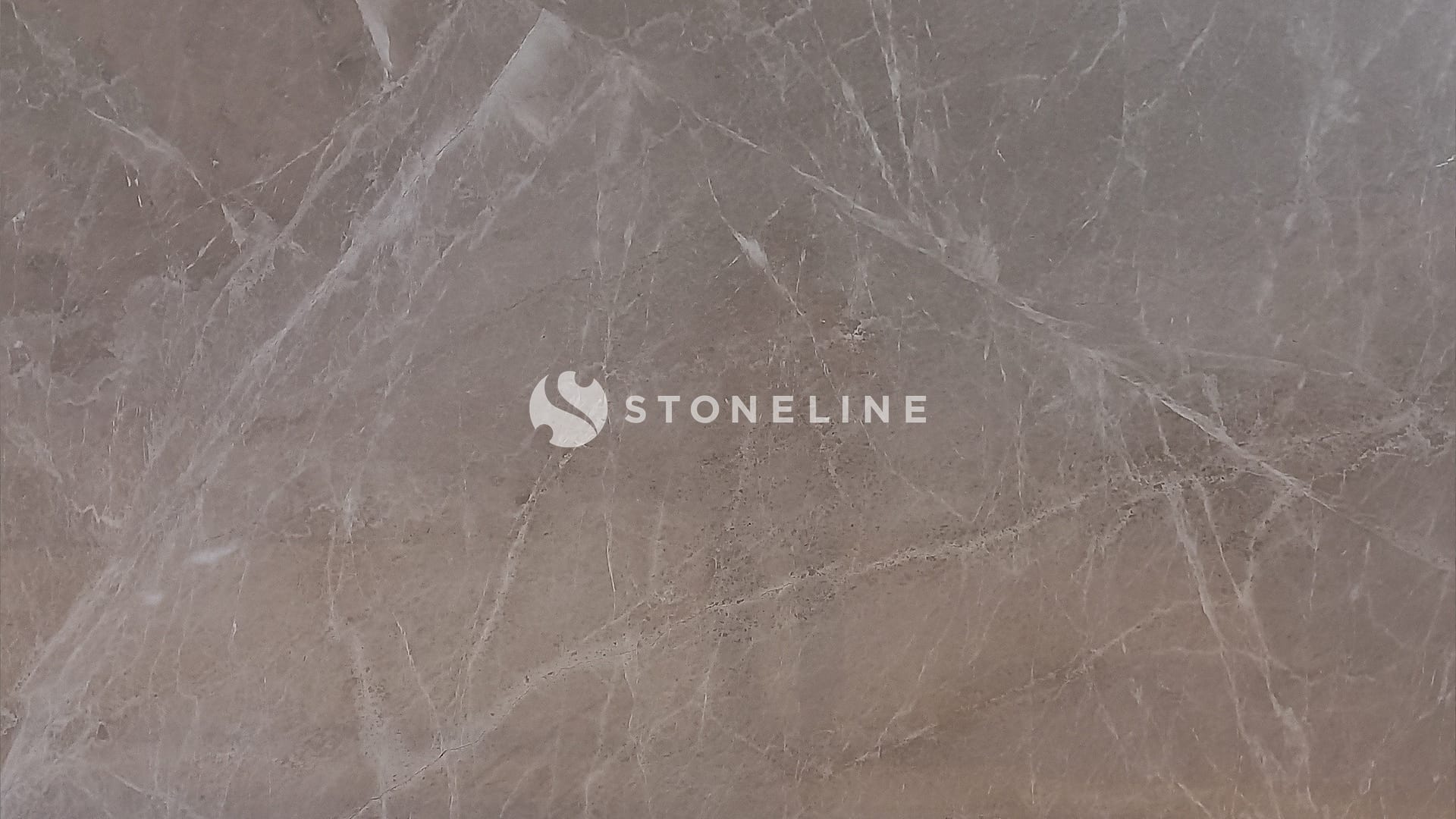 Close-up of brown marble texture with veins.