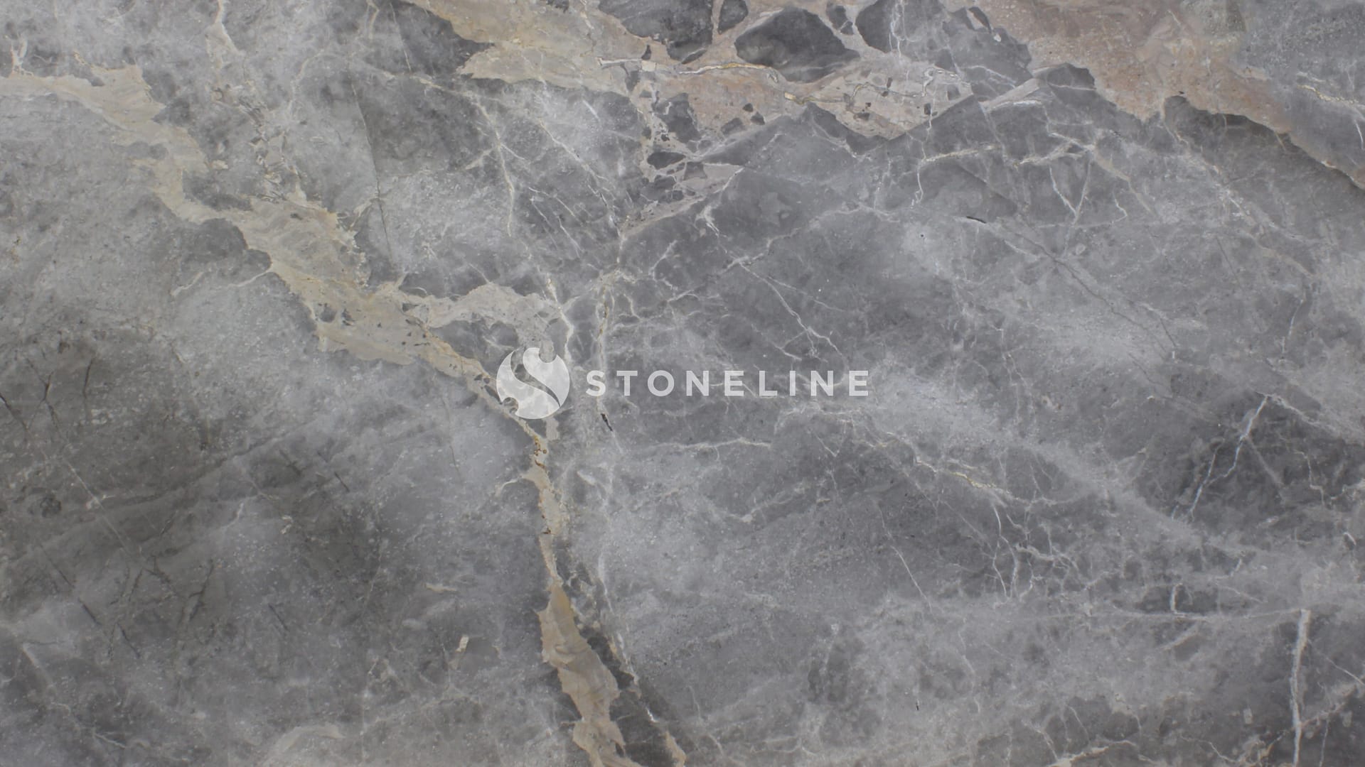 Gray marble texture with natural veining.
