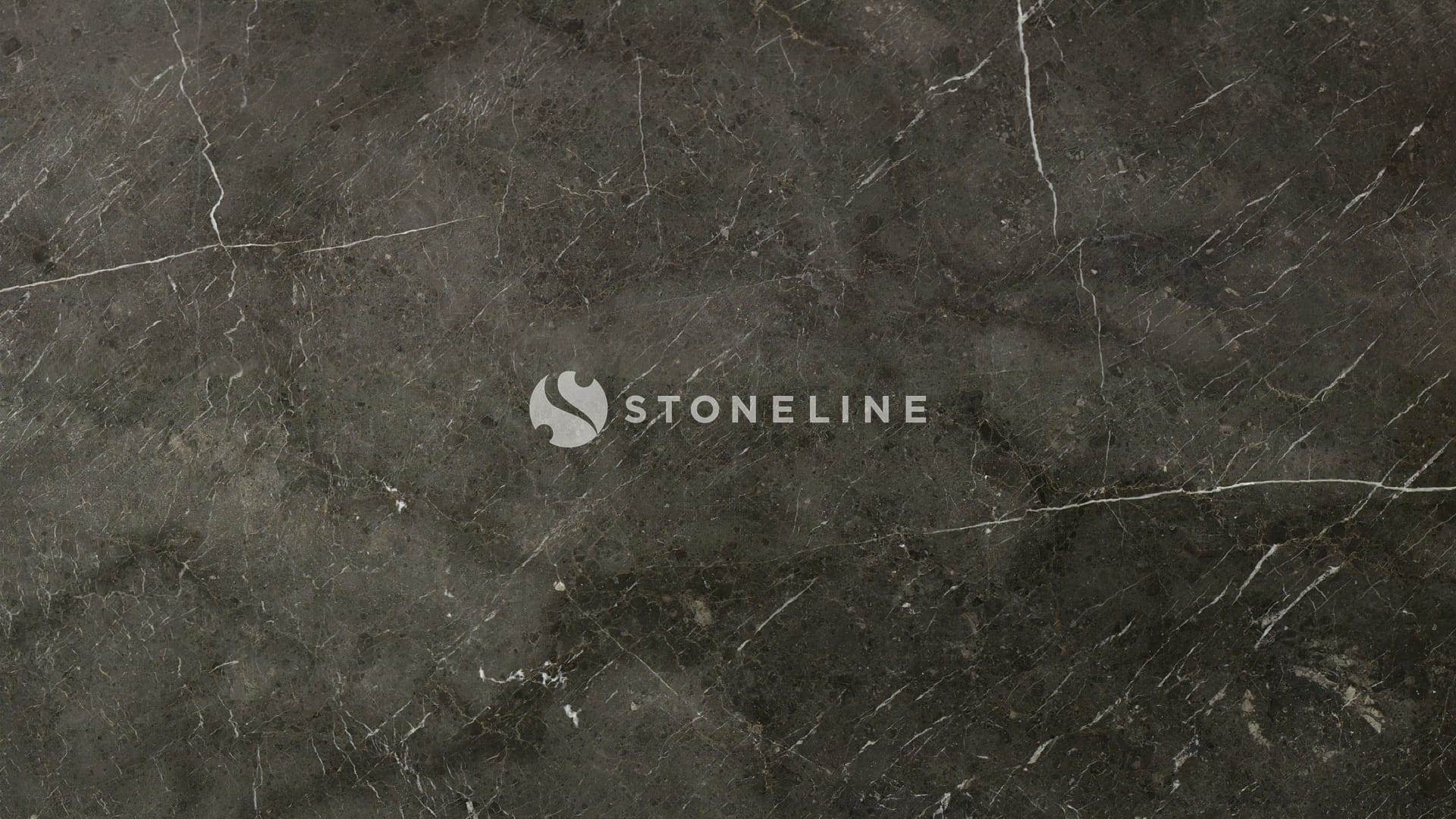 Dark marble texture with white veins