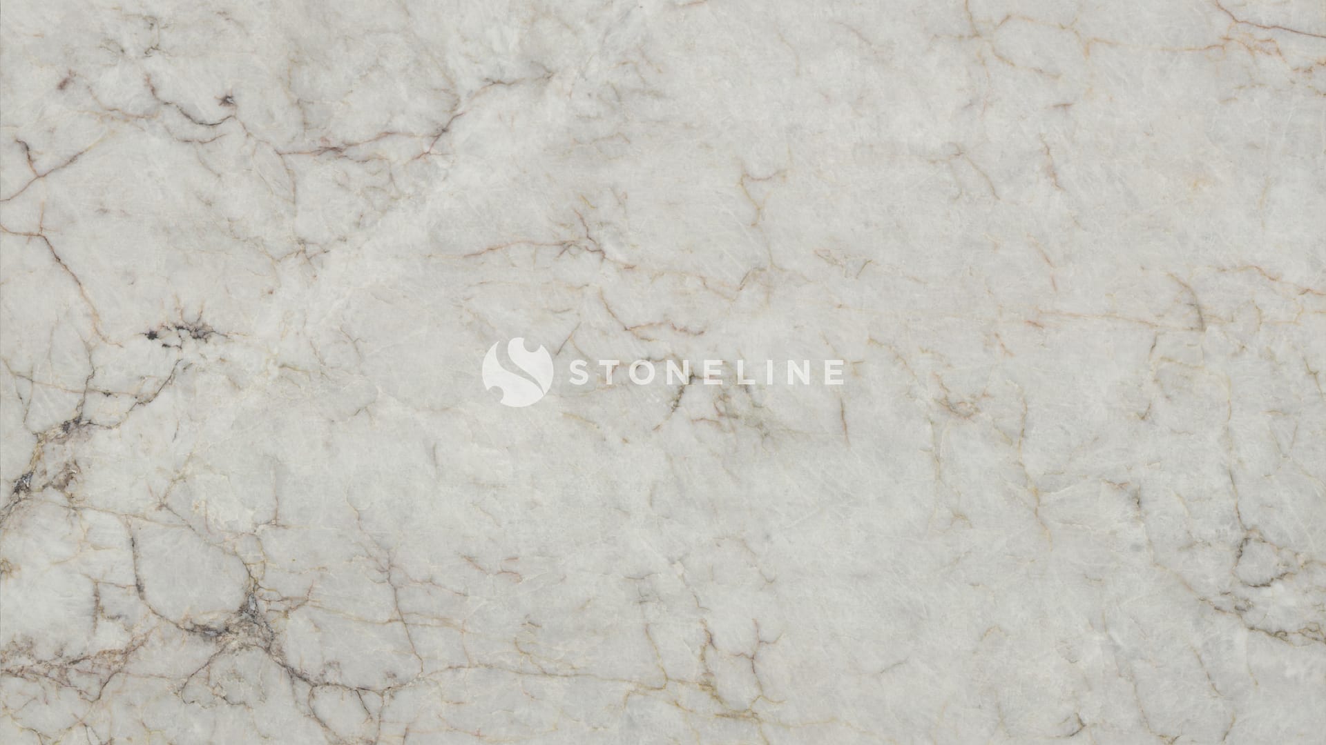 Close-up of white marble texture with veins.