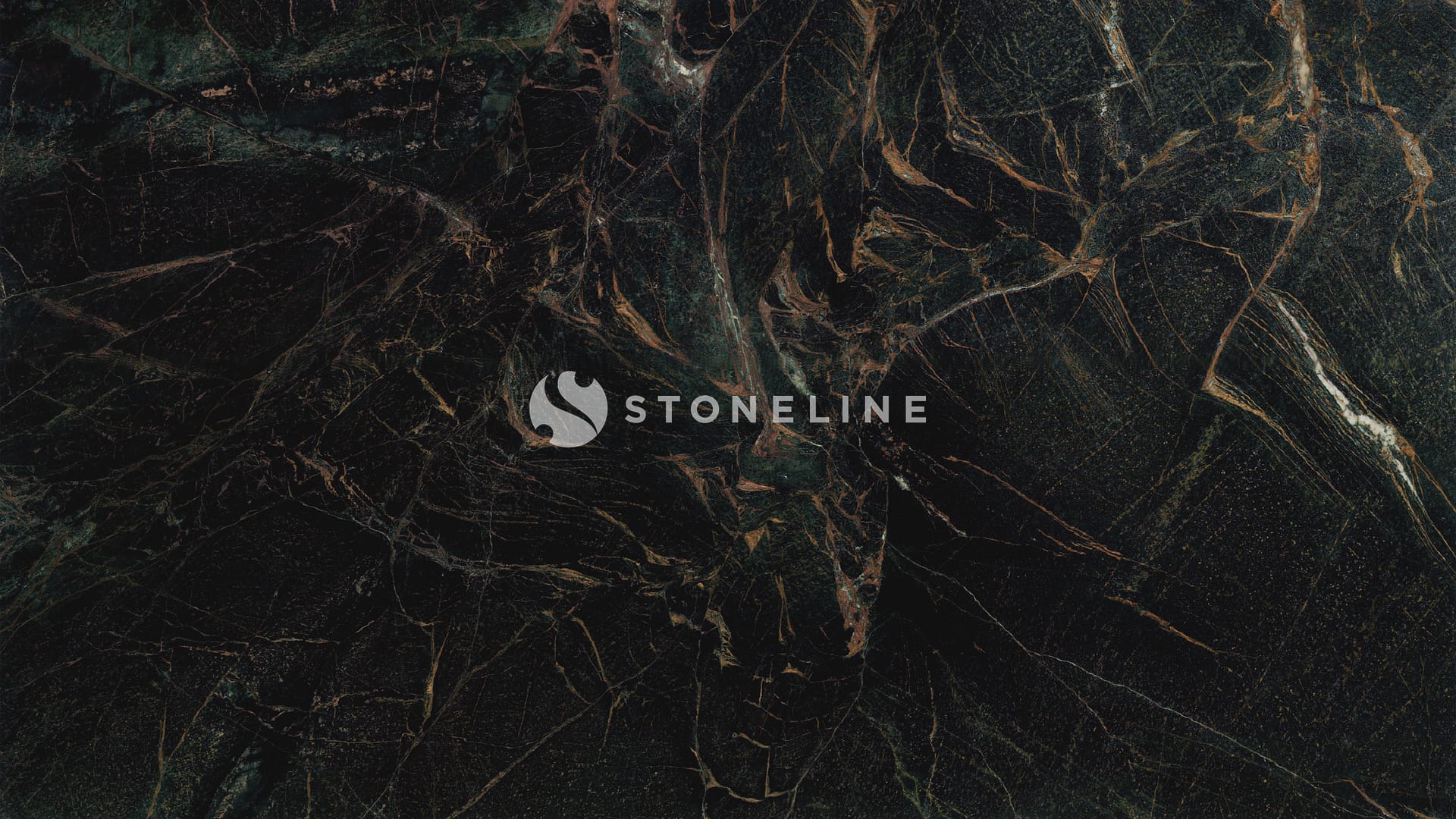 Close-up of dark marble texture with veins.