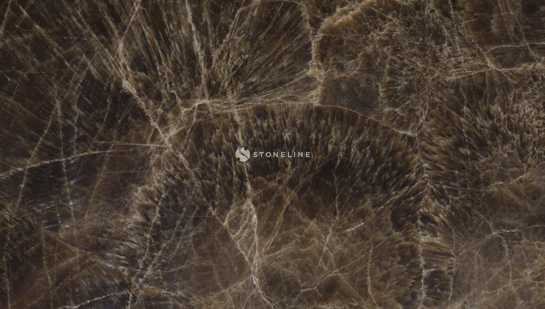 Polished 2 CM