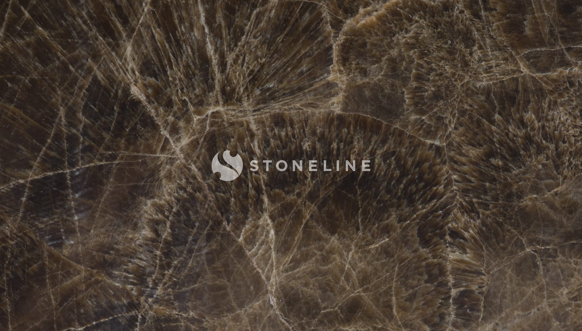 Polished 2 CM