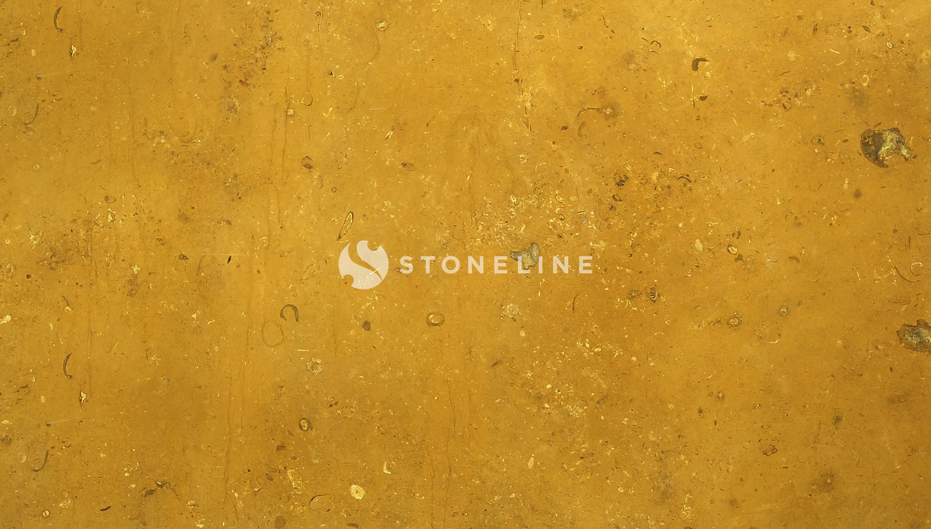 Polished 2 CM