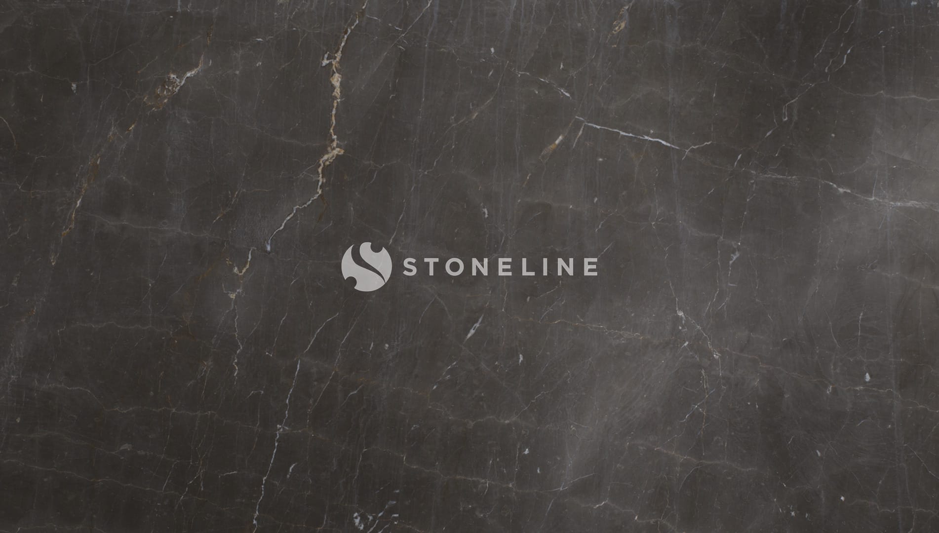 Dark marble texture with visible veins