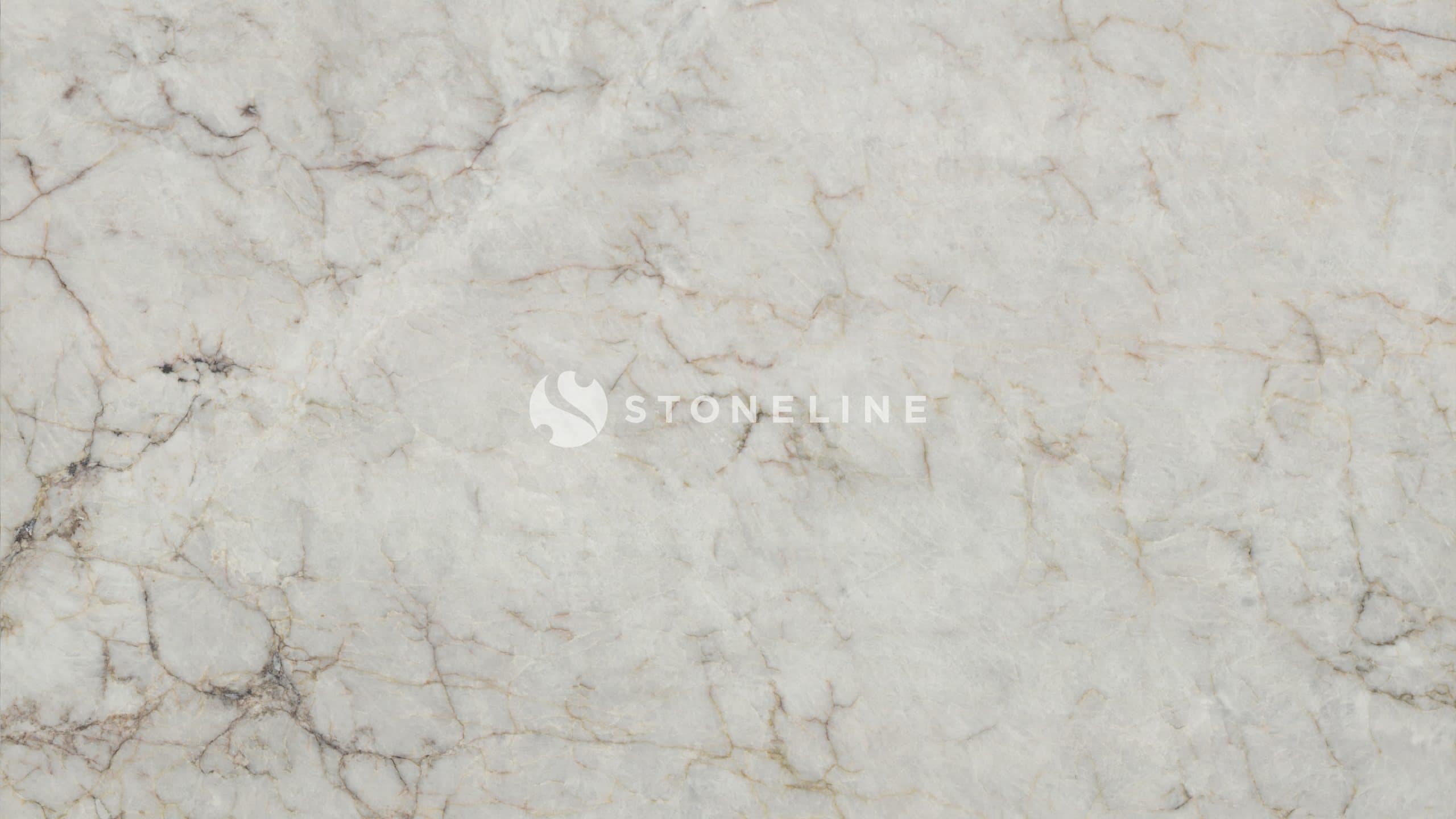Close-up of white marble texture with veins.