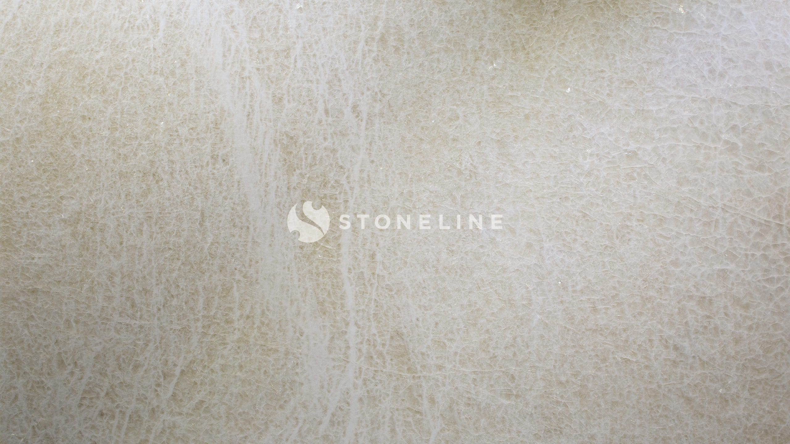 Close-up of textured white surface