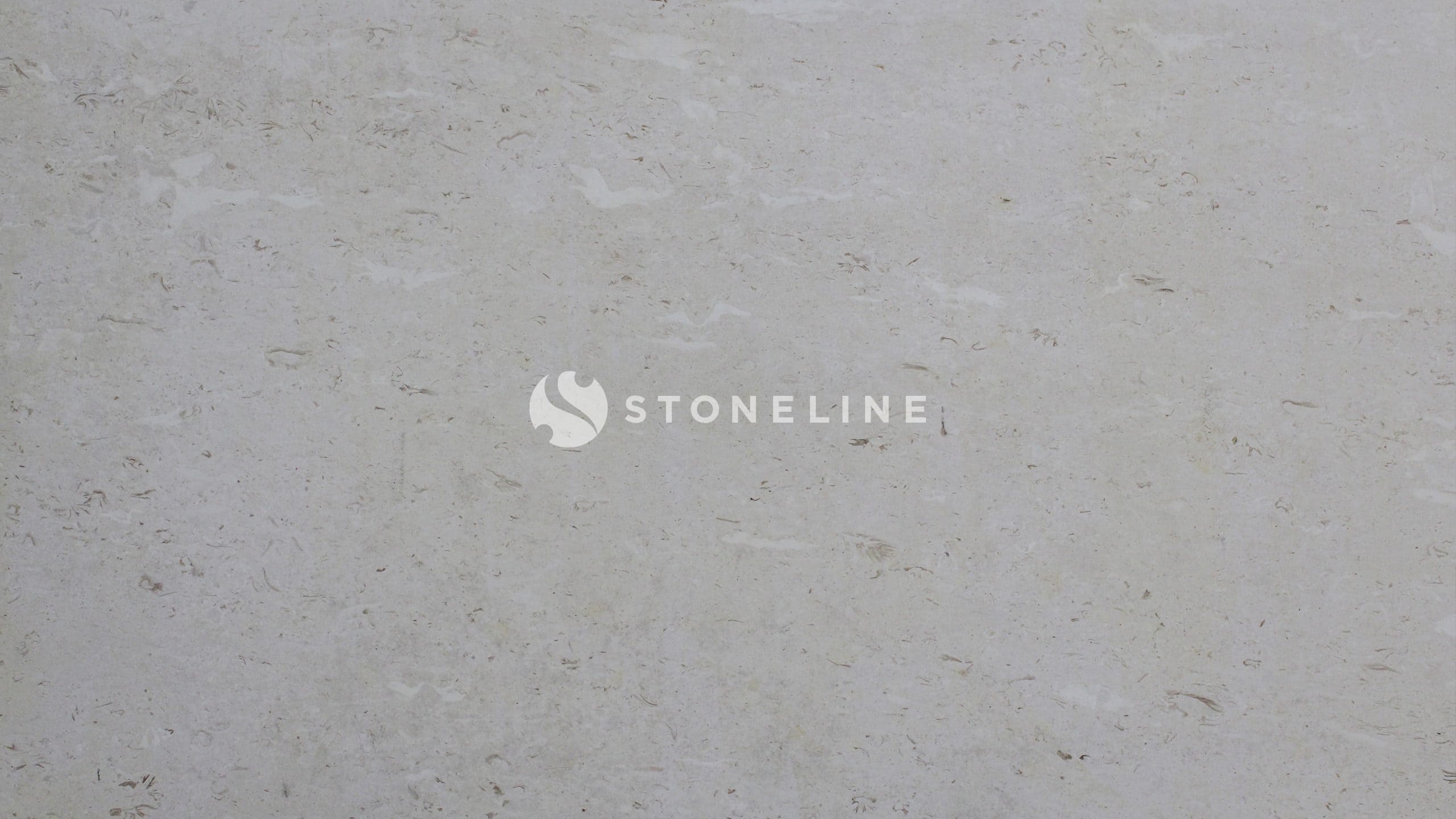 Close-up of light gray textured stone surface