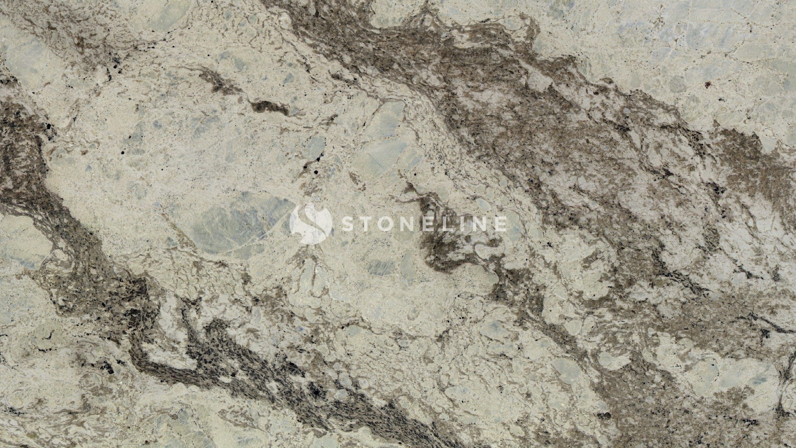 Close-up of speckled granite texture.