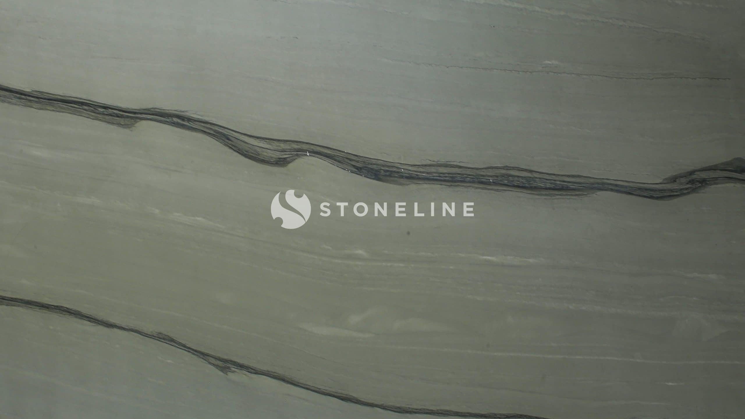 Close-up of textured stone surface with dark lines.