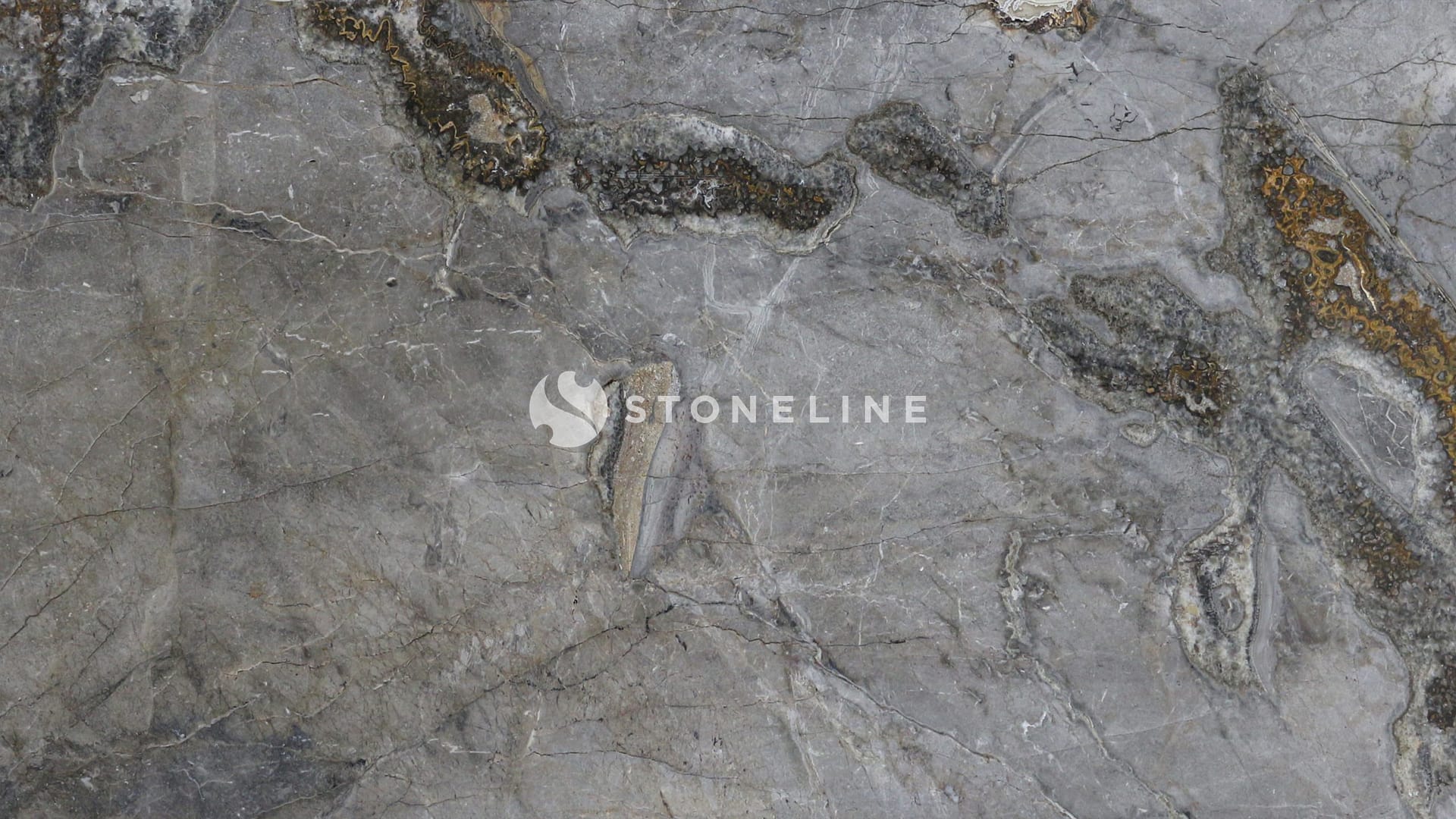 Close-up of textured gray rock surface