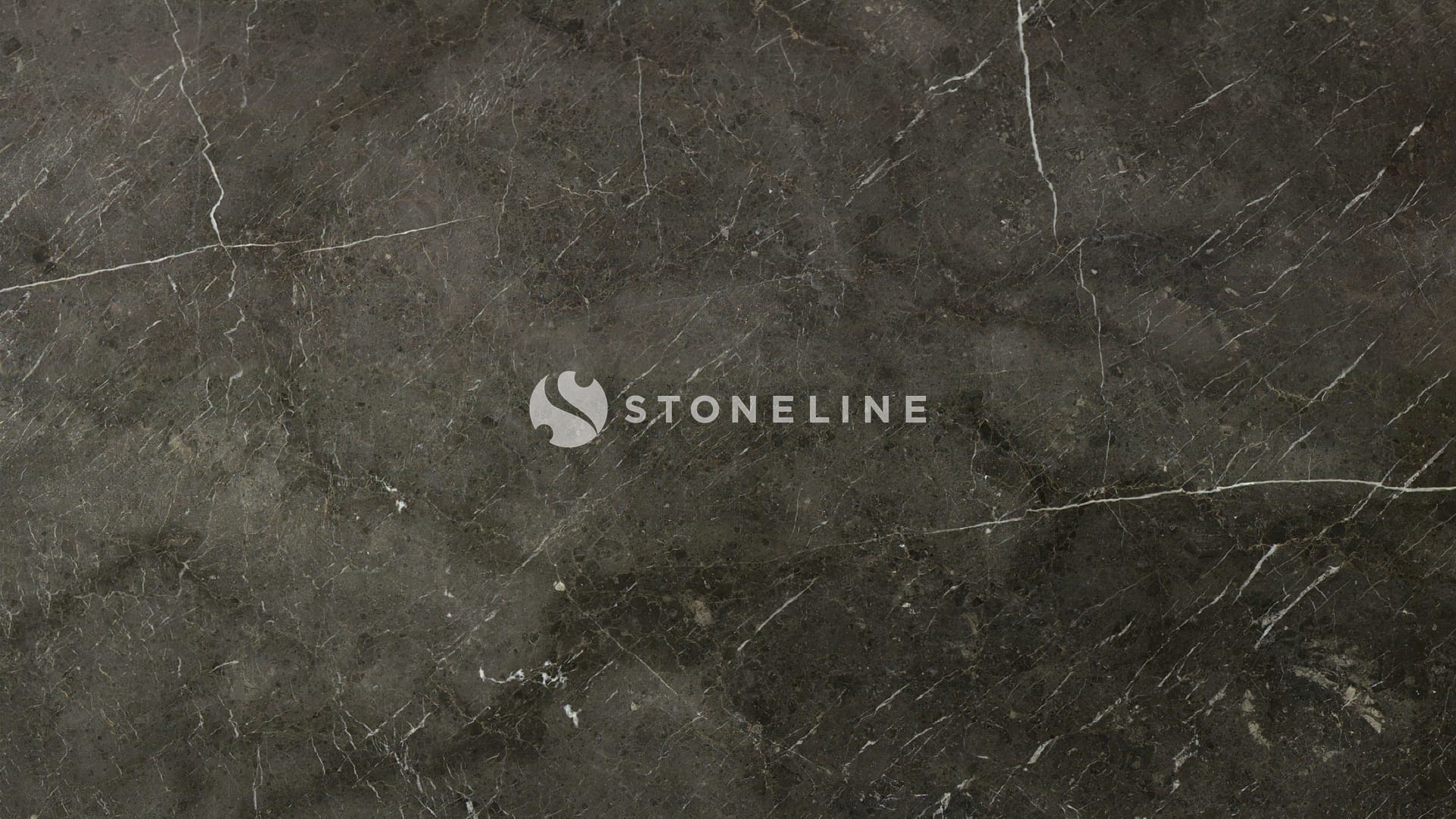 Dark marble texture with white veins