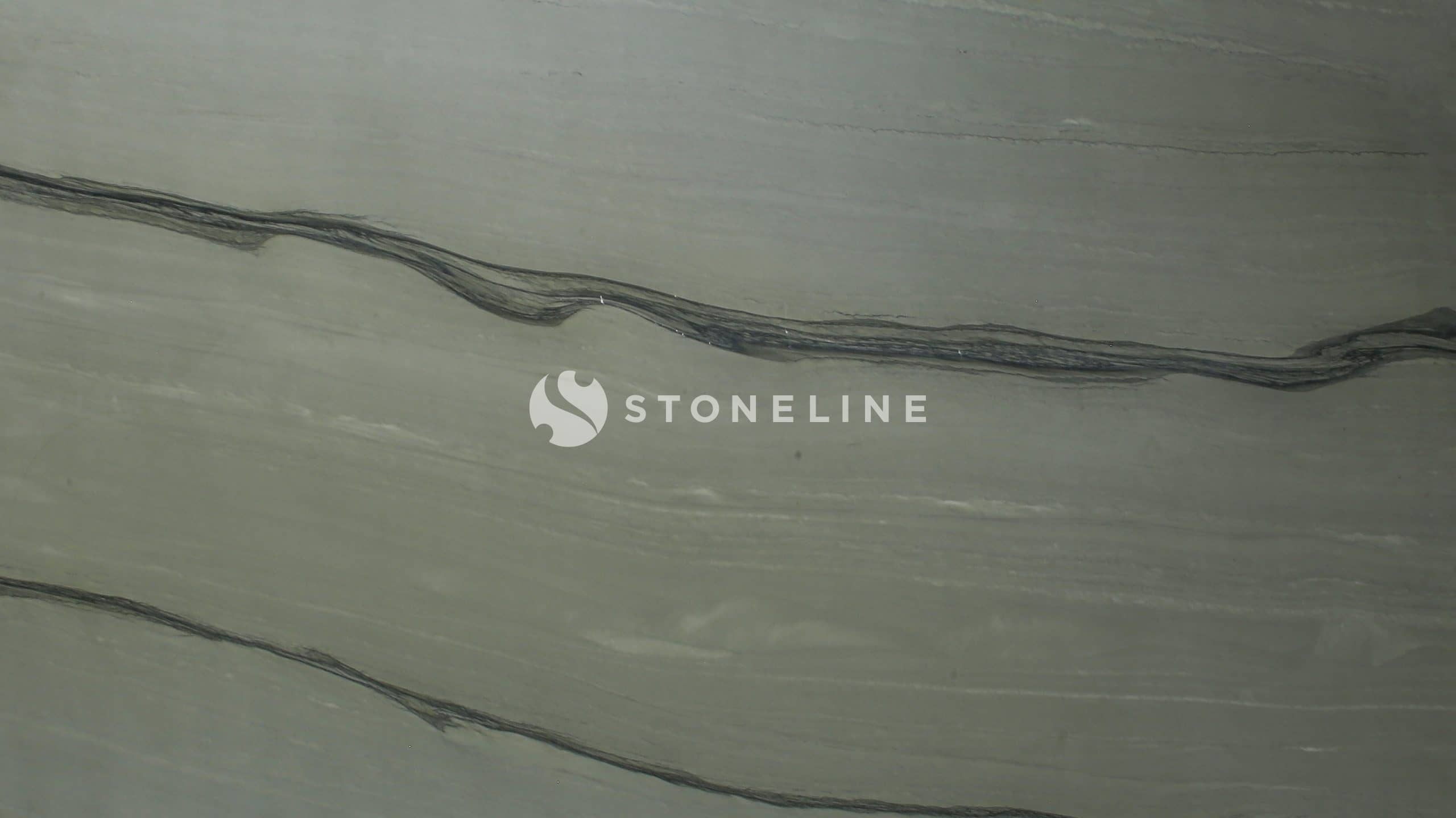 Close-up of textured stone surface with dark lines.