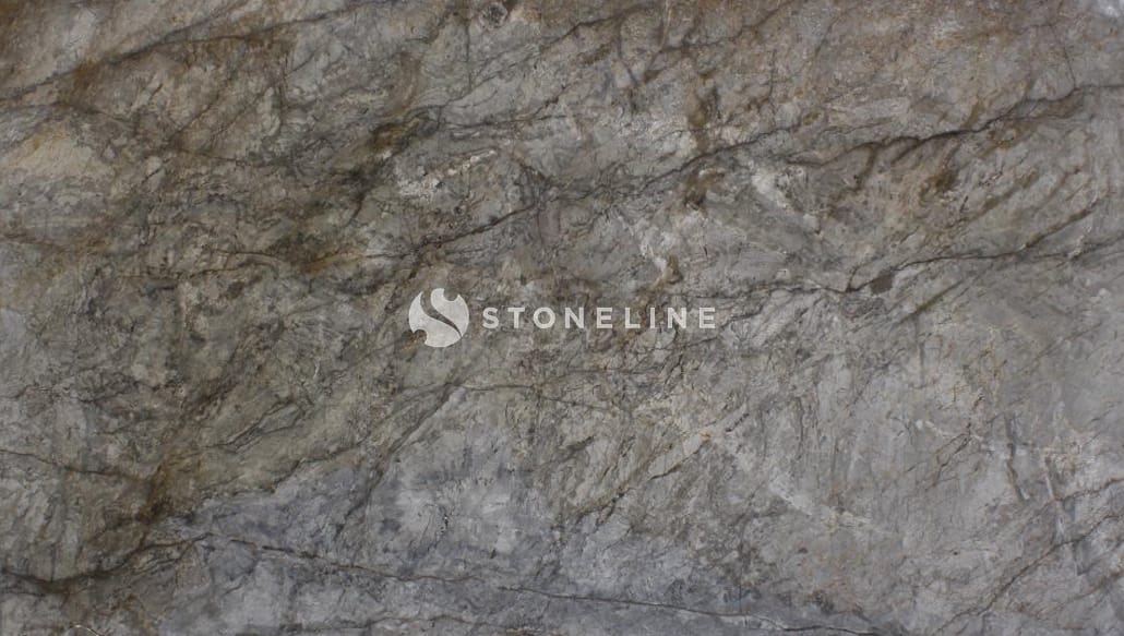 Close-up view of textured gray rock surface.