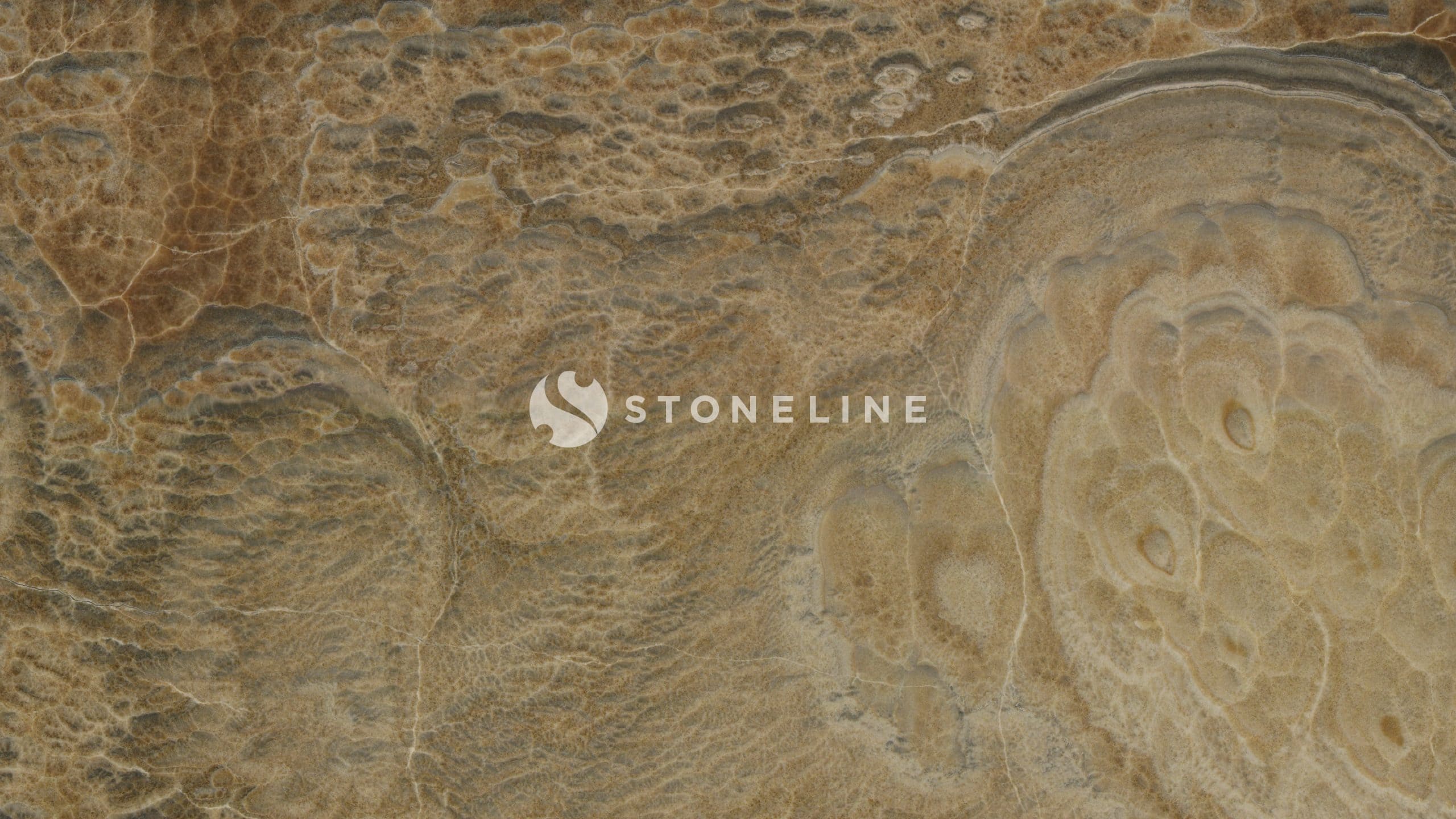 Close-up of textured, light-brown stone surface