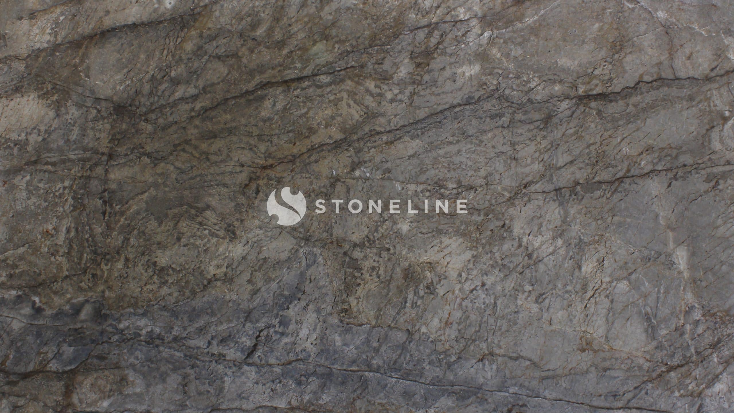 Close-up of textured gray rock surface