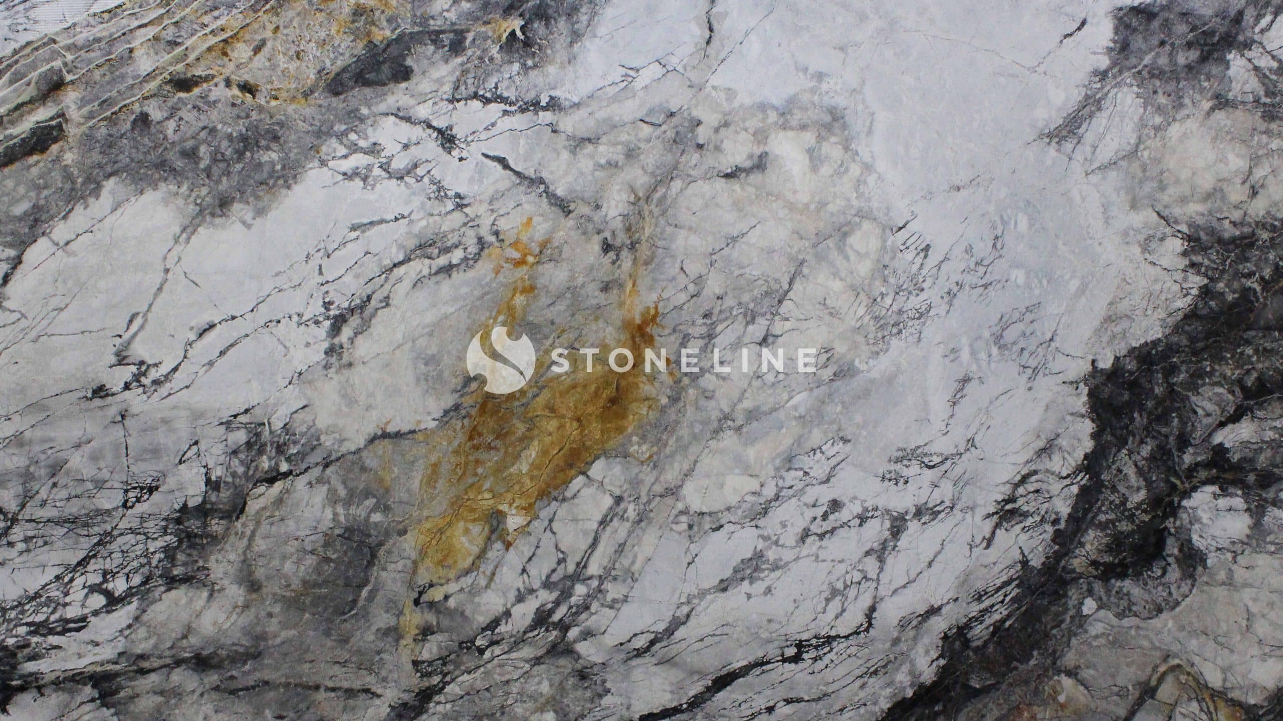 Close-up of textured marble surface with veins