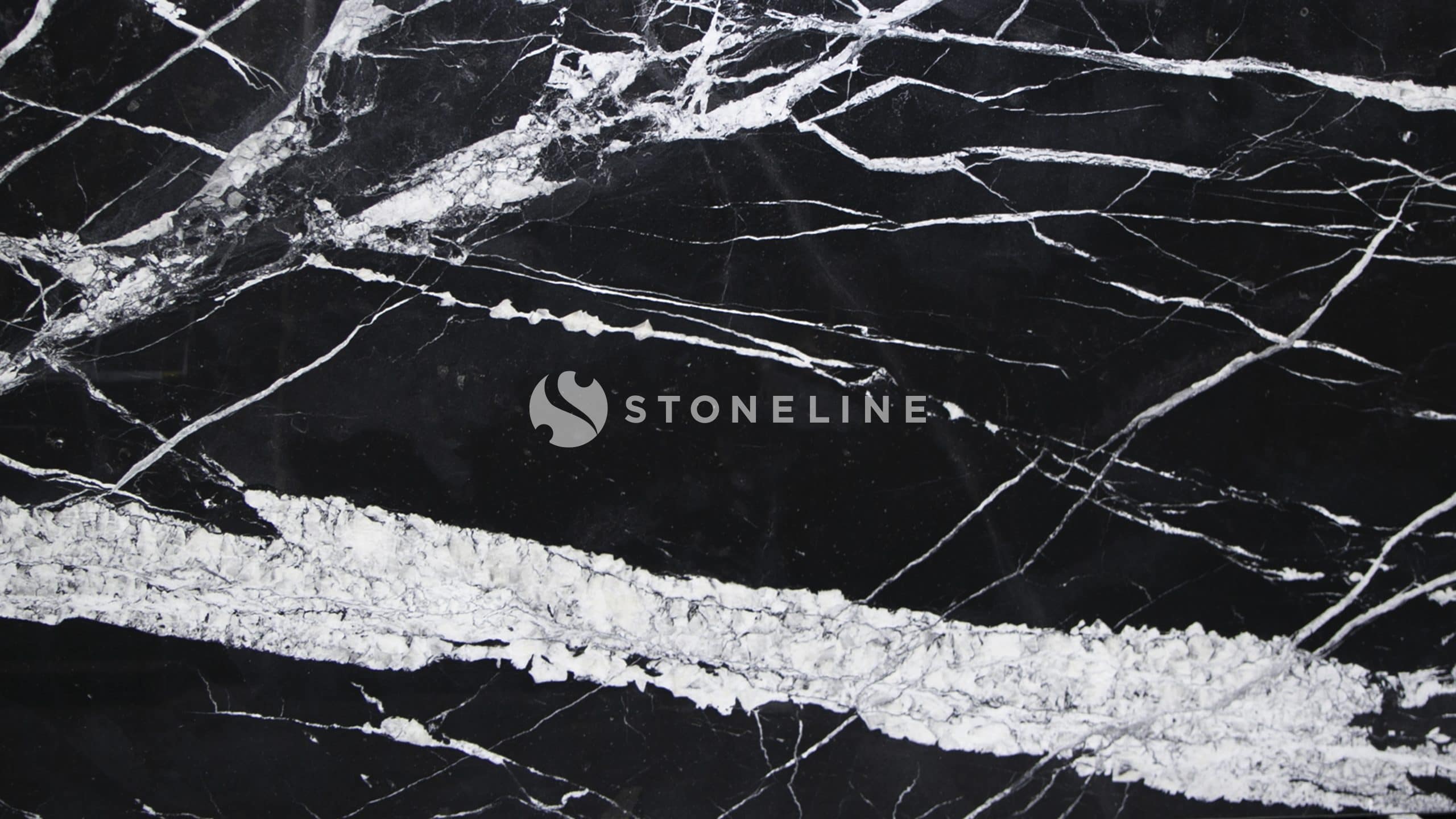 Black and white marble texture with veins.