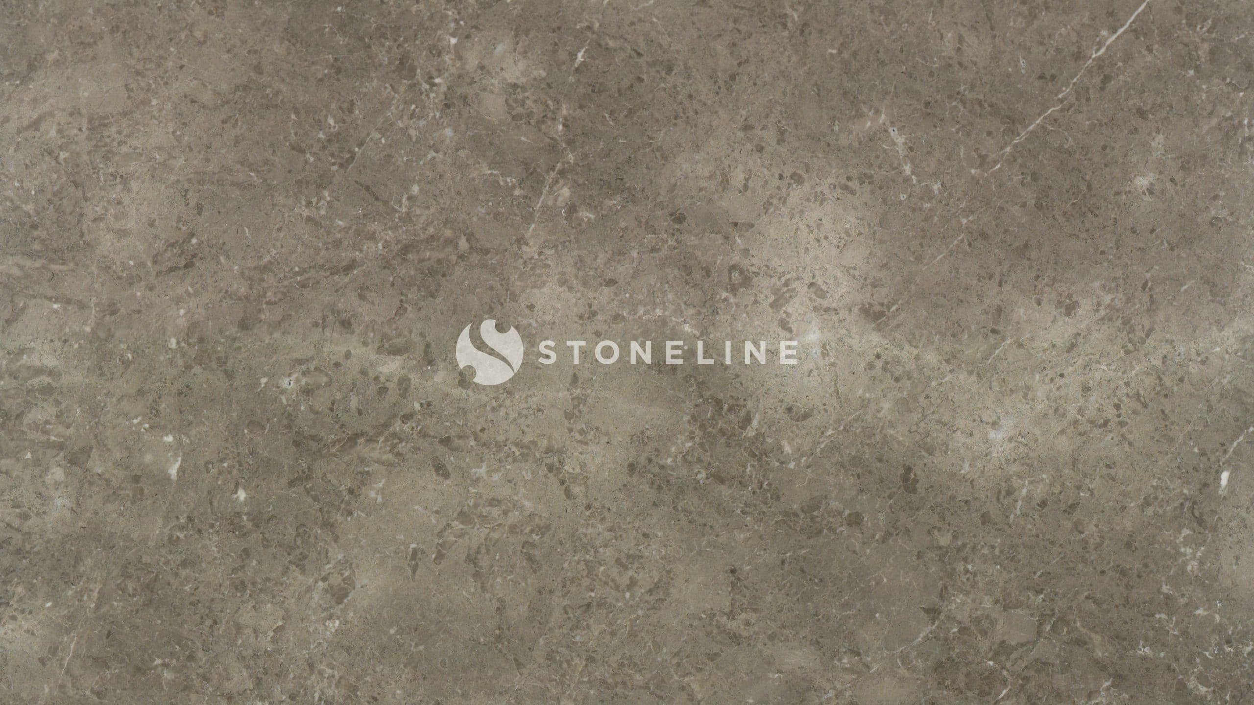 Polished gray marble surface with natural patterns.