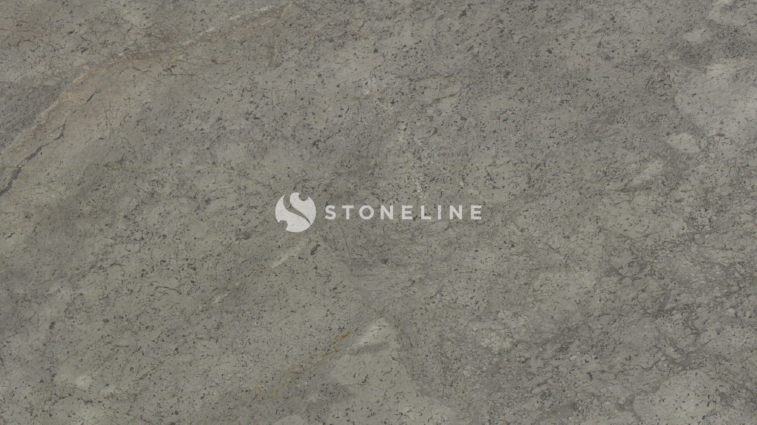 Gray textured granite surface pattern