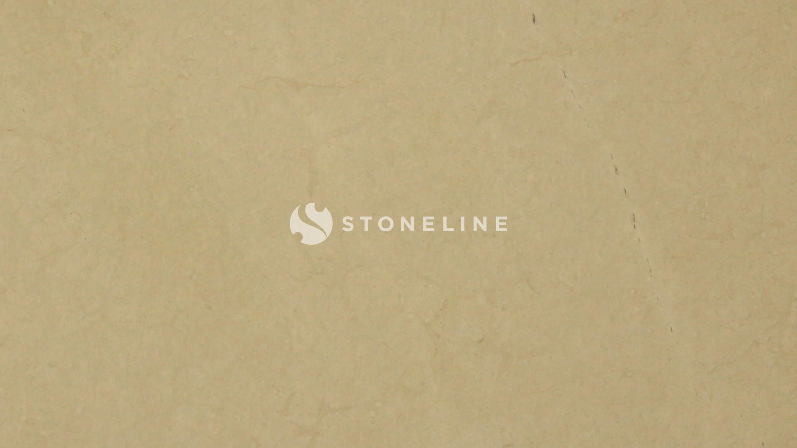 Close-up of beige textured wall surface