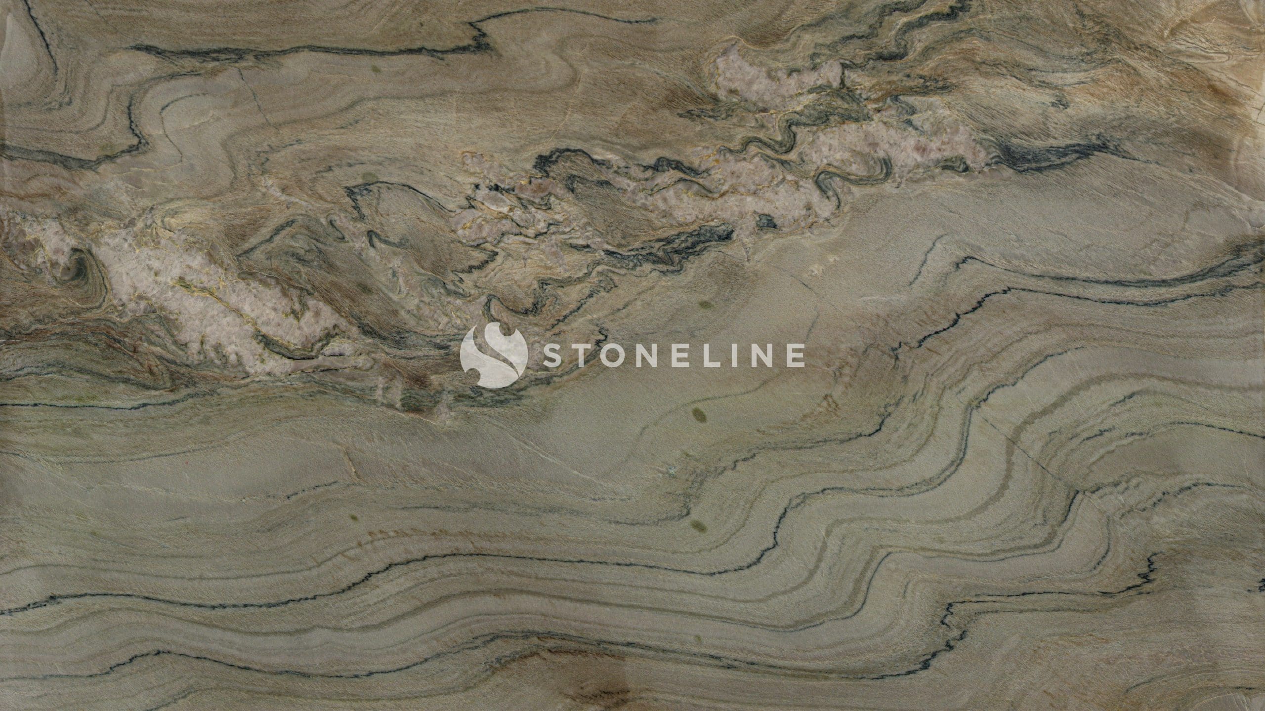 Close-up of textured stone with swirling patterns