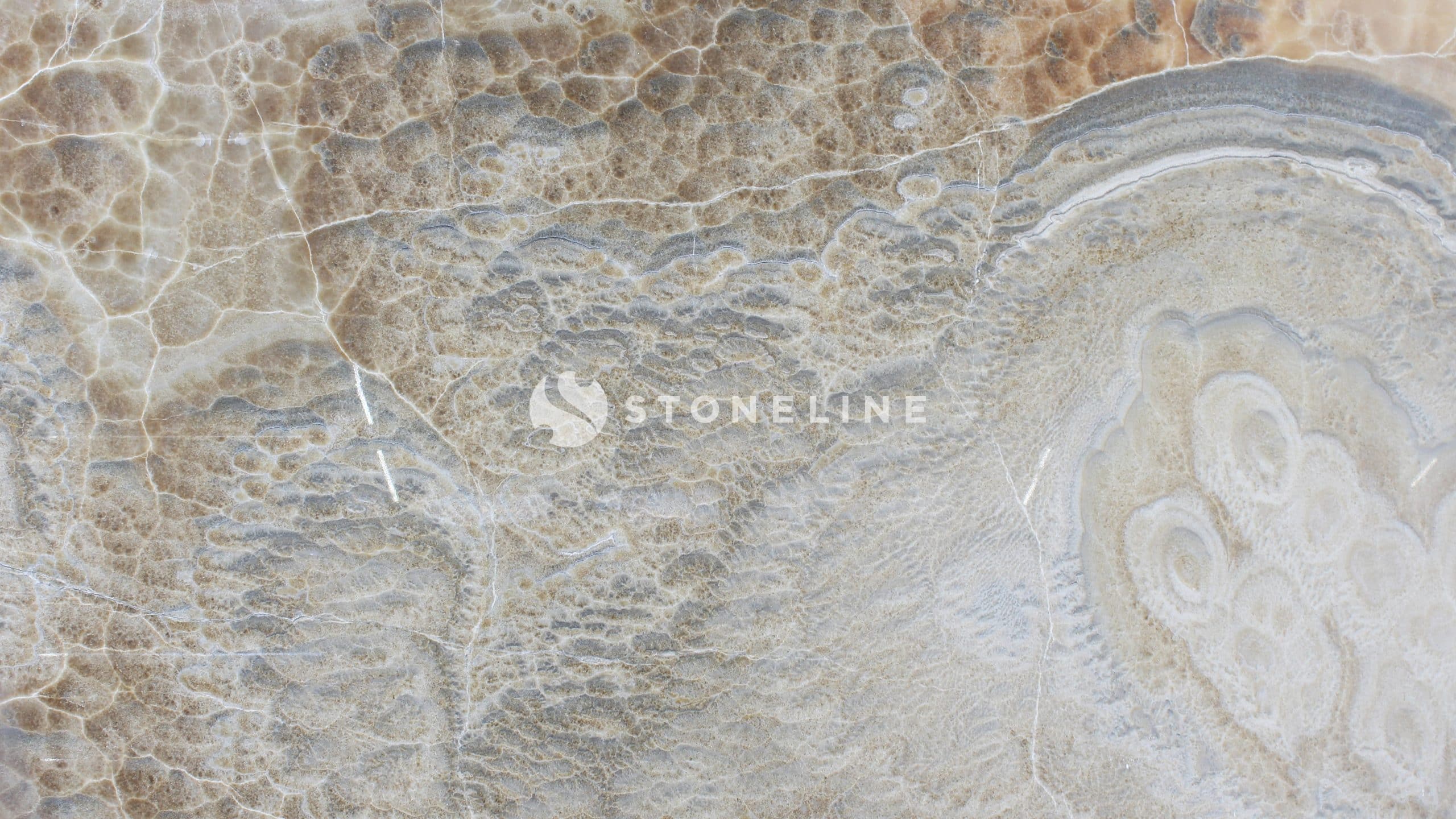 Close-up of natural stone texture with beige patterns.