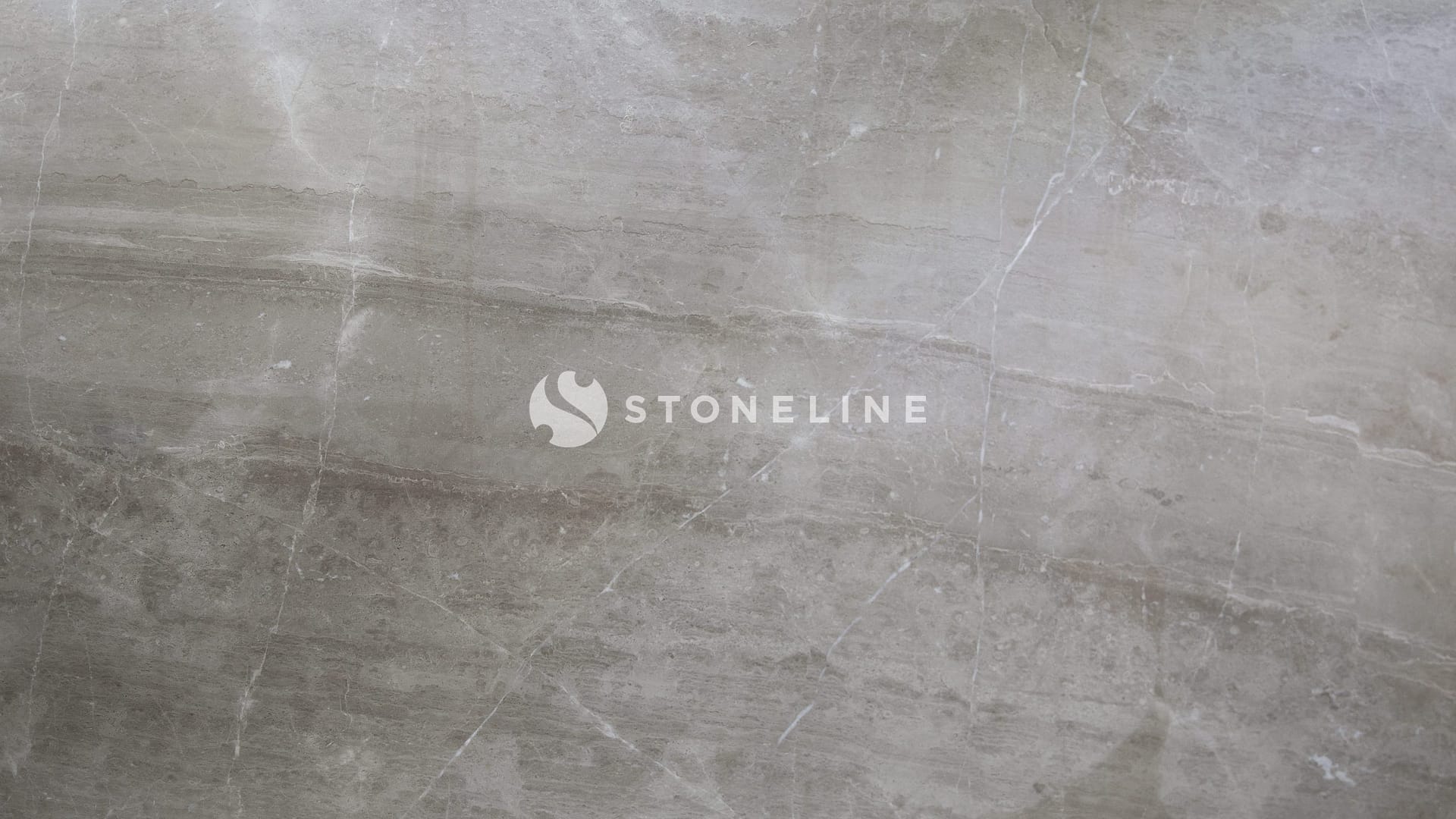 Close-up of gray marble texture with veins.